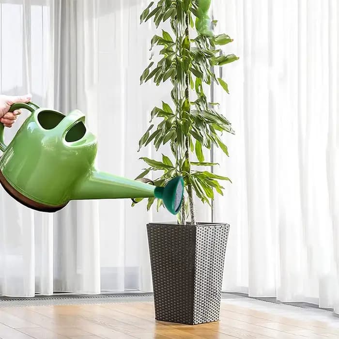 1 tête d'arrosoir universelle pour jardin, tête de rose, arrosoir, tête d'arrosoir, outil d'arrosage
