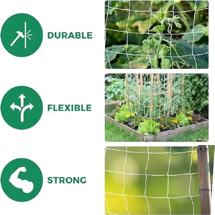 Filet d'escalade en Polyester robuste à Abrasion blanche, treillis de jardin pour plantes, tomates, 