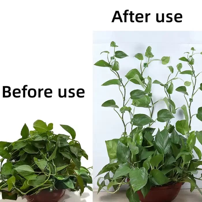Porte-plante en forme de feuille, 10 pièces, plante verte, mur d'escalade, crochets collants, fixate