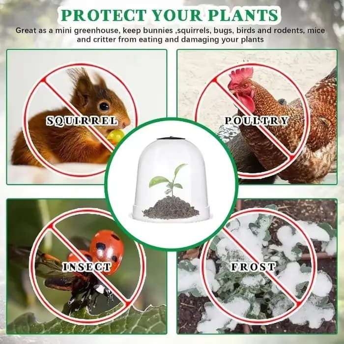 Mini cloches de serre en plastique réutilisables, 1/10 pièces, couverture isolante pour plantes de j