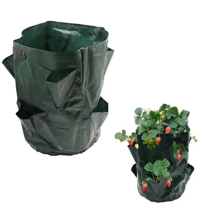 5/7/10 Gallons PE fraise planteur sacs de culture Pot de pommes de terre Pots de Jardin maison Jardi