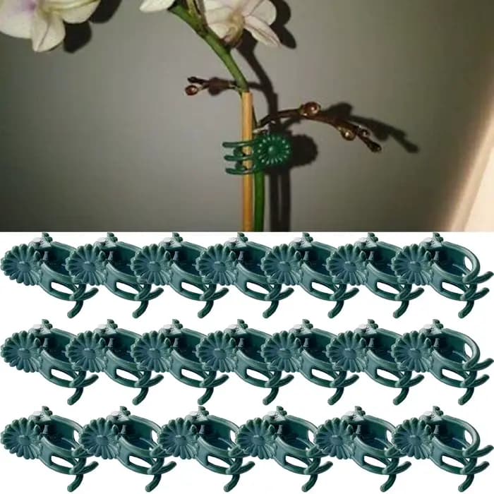 20 pièces orchidée tige pince plante Support vigne Clips en plastique fleur grandir branche pinces j