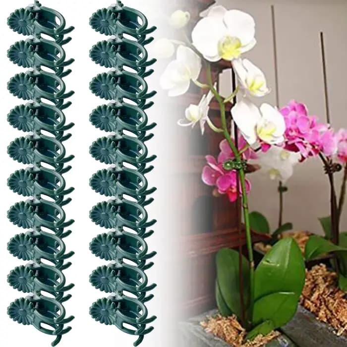 20 pièces orchidée tige pince plante Support vigne Clips en plastique fleur grandir branche pinces j