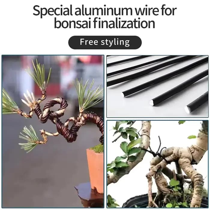 Fil de bonsaï en aluminium anodisé, 5m, support pour plantes, fil d'entraînement pour formes de plan
