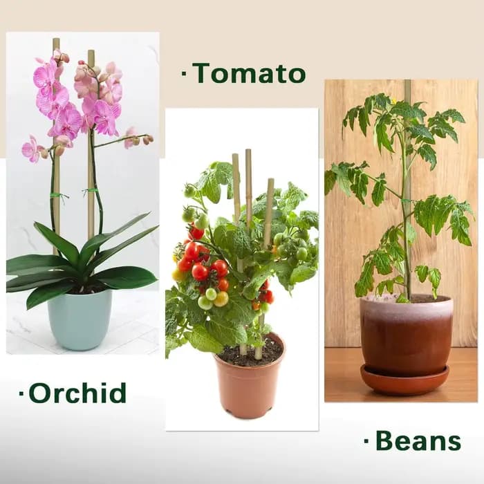 10 pièces, piquets de plantes en bambou pour l'extérieur et l'intérieur, bâtons de bambou, piquets d