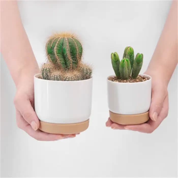 Pot de fleurs rond en plastique, stockage automatique à Absorption d'eau, Double couche, jardinière 