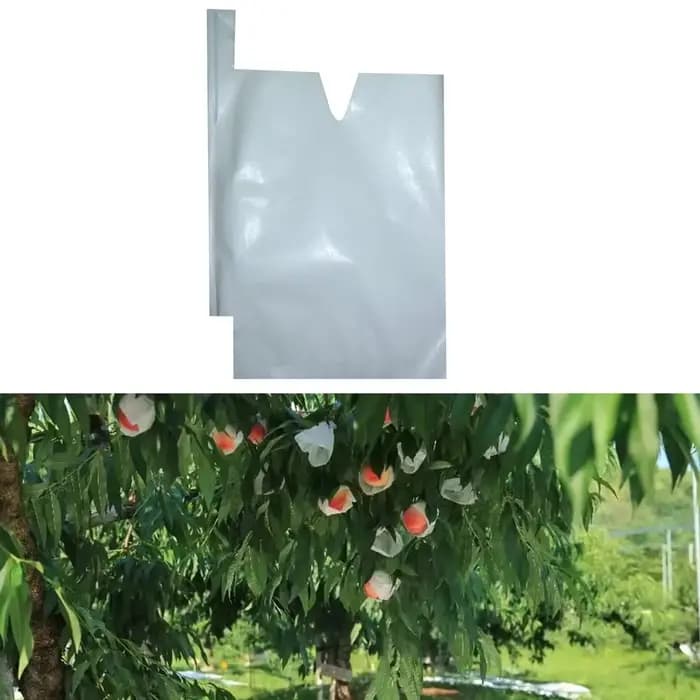 Sacs en papier de Protection des fruits, 100 pièces, pour raisins pêche, pochette contre les insecte