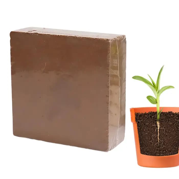Terreau pour bonsaï en briques 300g, terreau organique compressé naturel, terreau nutritif hautement