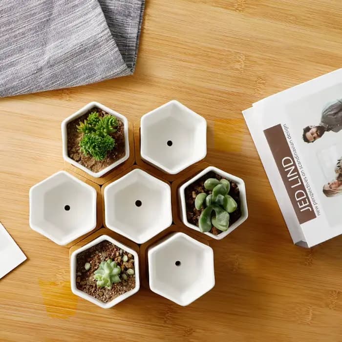 Pot de fleurs en céramique hexagonale blanche, pot de fleurs européen avec escalier, simple, récipie