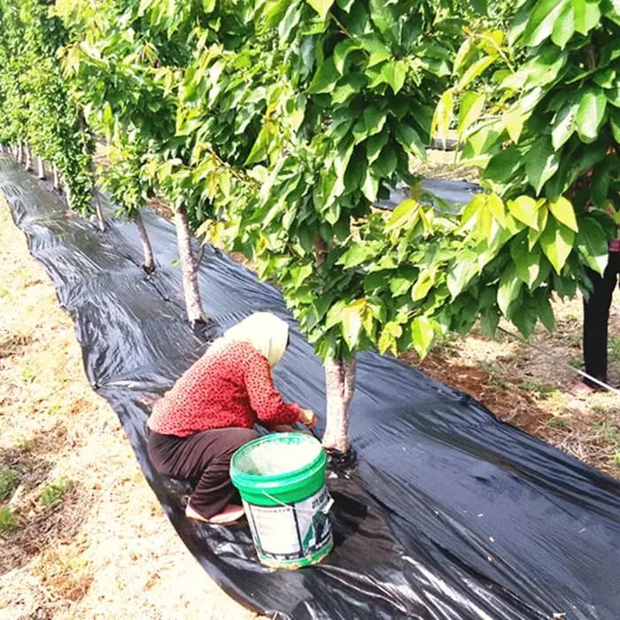 Gril agricole anti-enge orienté ferme, barrière contre les mauvaises herbes, polymères, paillis en p