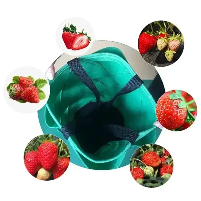 Sac de plantation de fraises en plastique, sac suspendu pour culture de plantes, fournitures de jard