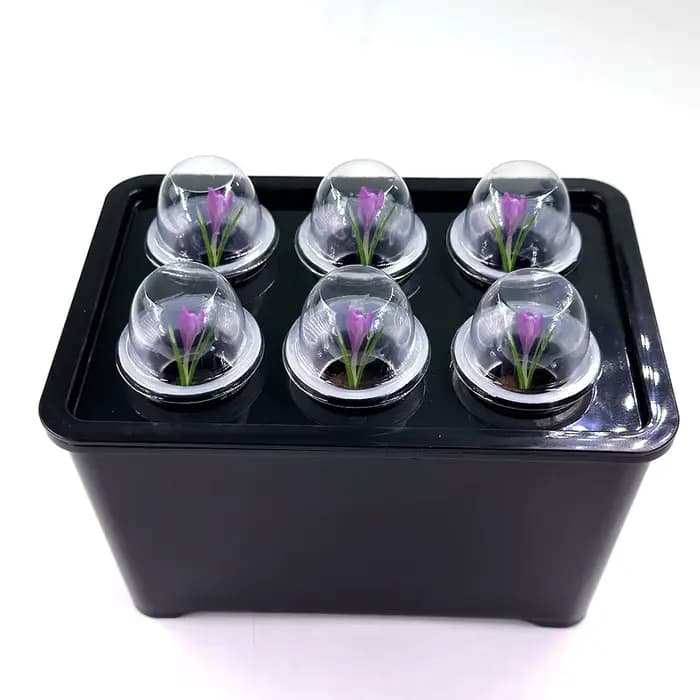 Système de culture hydroponique blanc/noir, boîte hydroponique, Pot de pépinière à 6 trous pour plan