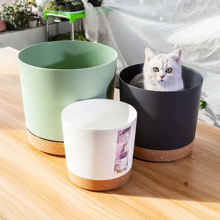 Pot de plante circulaire en plastique avec séparation, jardinière succulente, conception de bonsaï, 