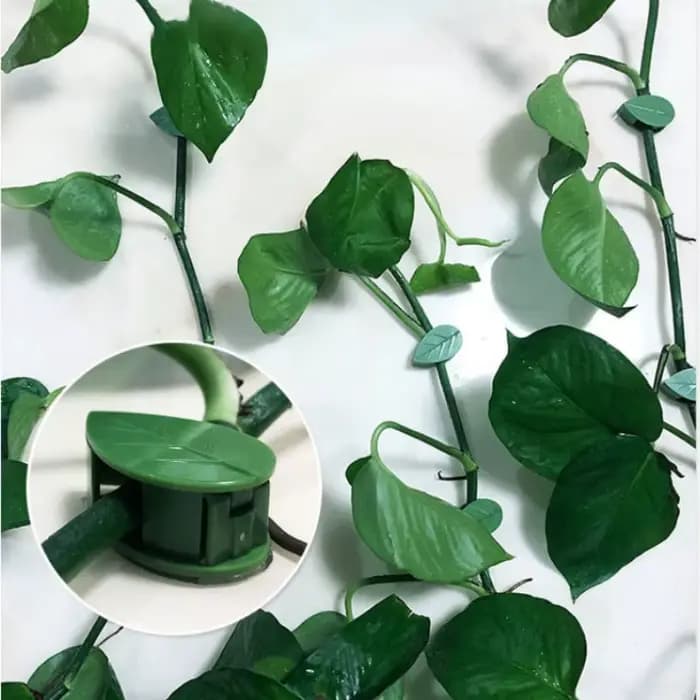 Porte-plante en forme de feuille, 10 pièces, plante verte, mur d'escalade, crochets collants, fixate