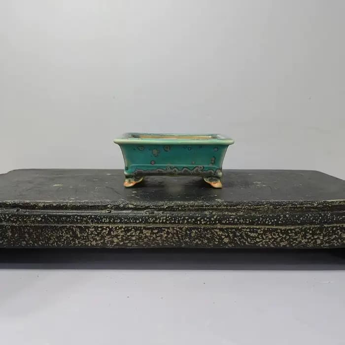 Mini bonsaï émaillé de haute qualité avec forme rectangulaire