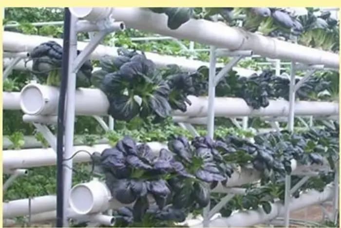 Filet de Culture de Plantes, Pots de Pépinière, Tasse de Colonisation Hydroponique, mir en Plastique