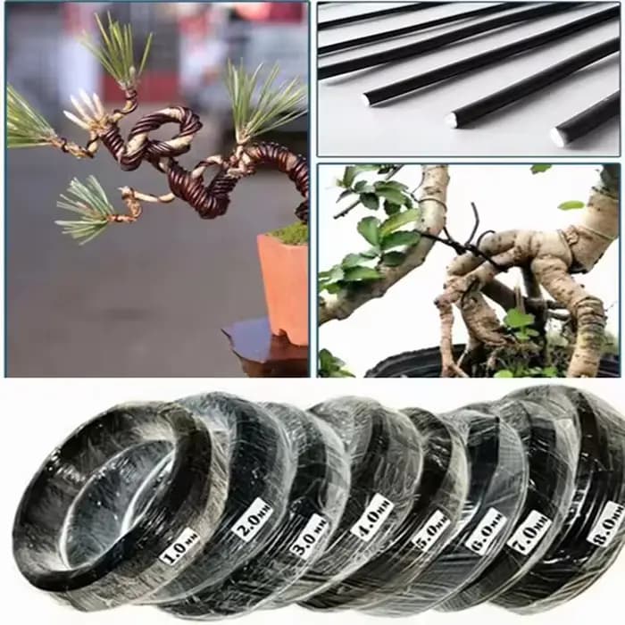 Fil de bonsaï 5/10m, Support pour plantes, fil d'entraînement en aluminium anodisé pour la mise en f