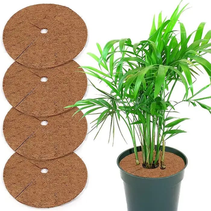 Lot de 3 disques de paillis protecteurs en fibres de coco naturelles pour plantes d'intérieur et d'e