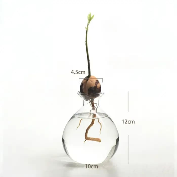 Kit de plantes en verre avec autocollants pour les amateurs de jardinage, vase de démarrage pour les