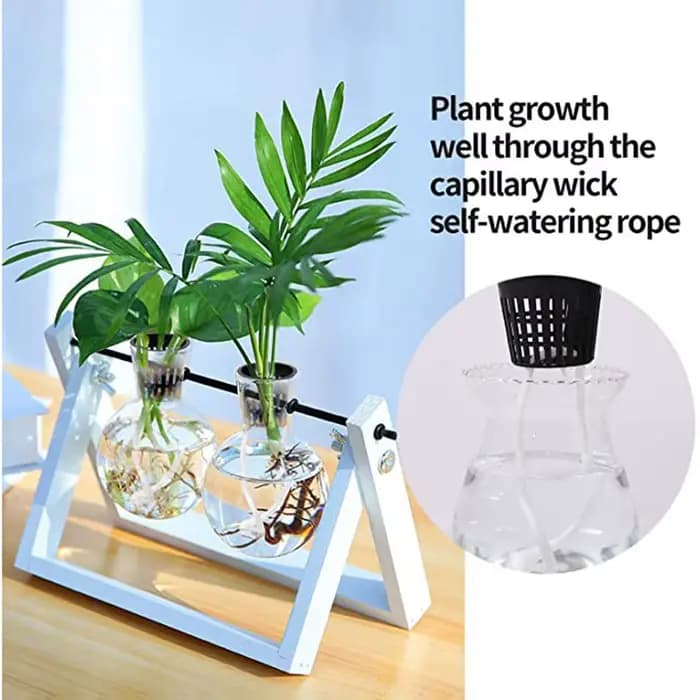 Filet de Pot hydroponique, 25 pièces, filet en maille sans sol, panier de plantes, légumes, tasse de