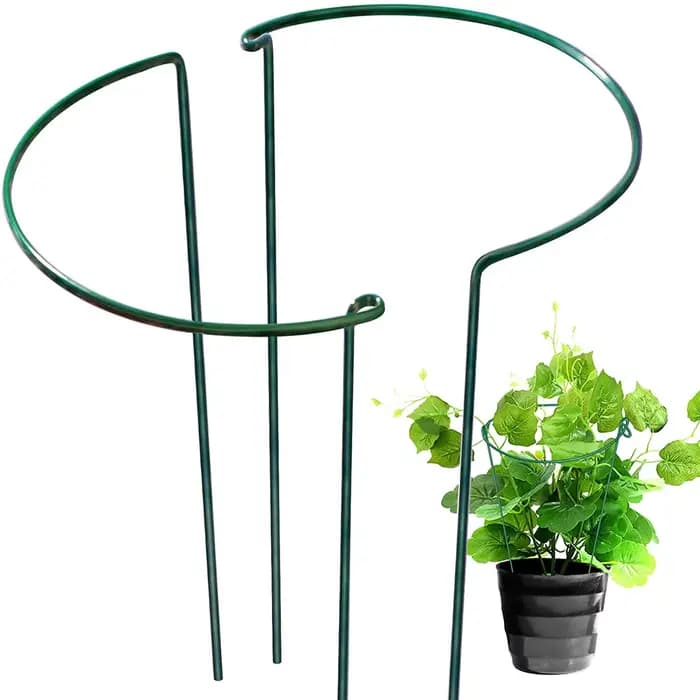 Piquets de Support pour Plantes de Jardin, Cages et Supports de Pivoine d'Nik, Plante Verte, Bordure