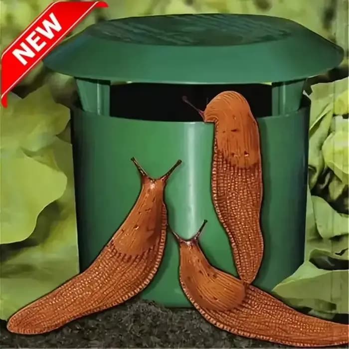 Piège à escargots de haute qualité, 5 pièces, durable, cage en plastique sûre pour légumes, fleurs, 