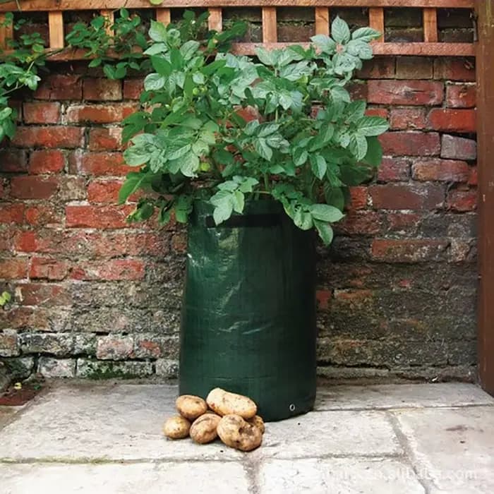 10 Gal. Sac de culture en matériau PE, bac à plantes avec rabat d'accès pour la récolte