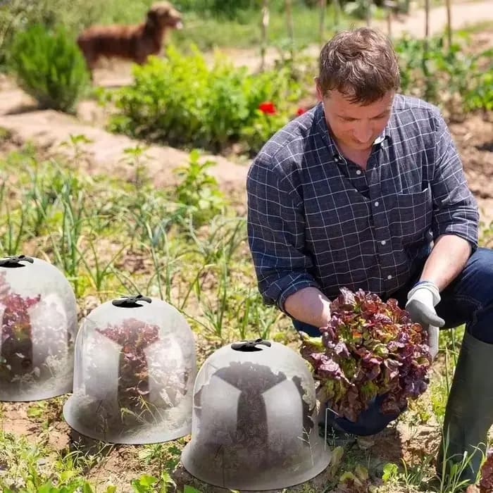 Mini cloches de serre en plastique réutilisables, 1/10 pièces, couverture isolante pour plantes de j