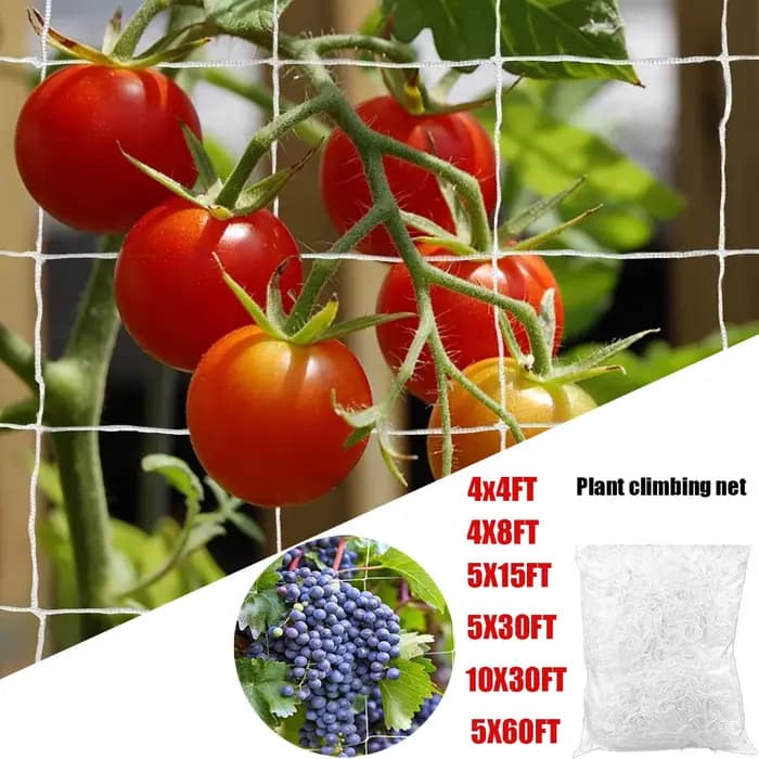 Filet d'escalade en Polyester robuste à Abrasion blanche, treillis de jardin pour plantes, tomates, 