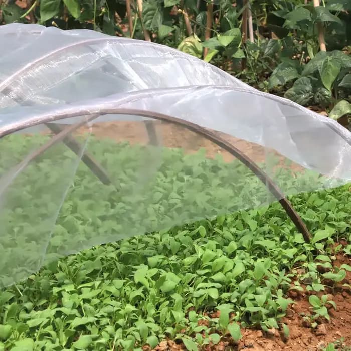 Filet de protection anti-oiseaux pour arbres fruitiers, filet d'ombrage pour plantes, protection ant