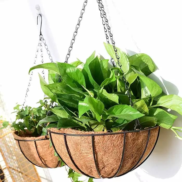Porte-plante rond en fil de 8/10 pouces, panier suspendu en métal, doublure en noix de coco, Pot de 
