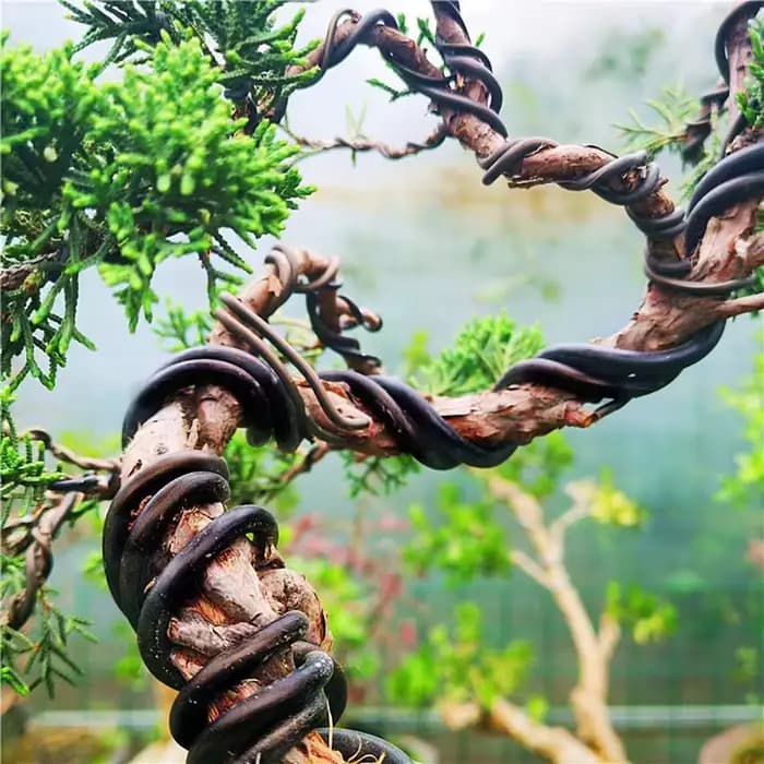 Fil de bonsaï en aluminium anodisé, 5m, support pour plantes, fil d'entraînement pour formes de plan