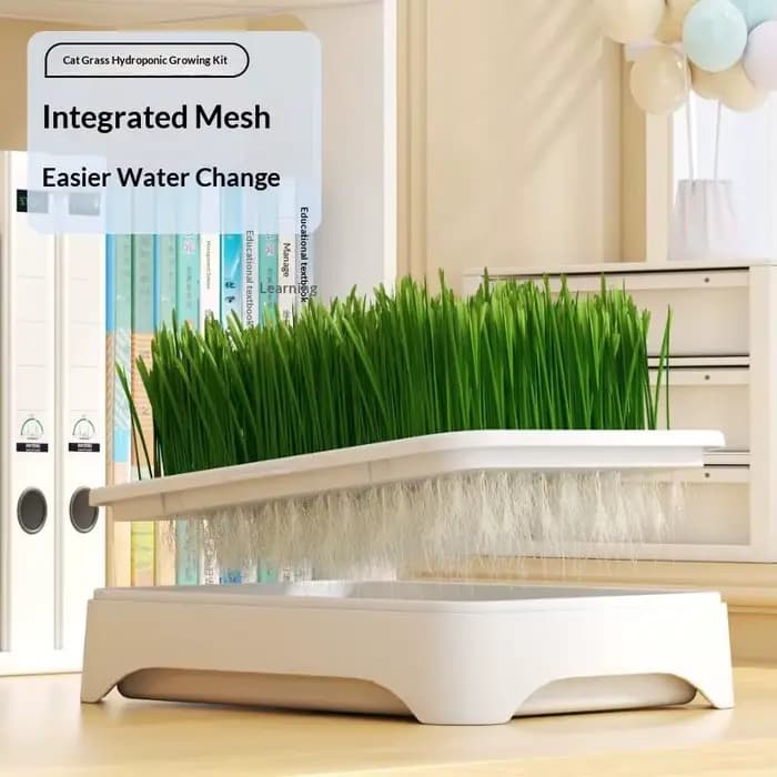 (.) Bac de culture hydroponique pour herbe à chat, pot de semis de blé sans terre, dispositif hydrop