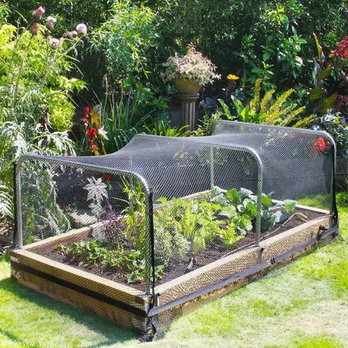 Filet d'arbres fruitiers noir réutilisable 4x5m/ 5x20m, filet de jardin pour protéger les arbres fru