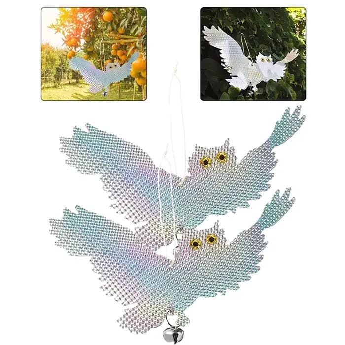 Dispositif de contrôle répulsif pour oiseaux, hibou, réfléchissant au Laser, faux hibou, épouces, Pi