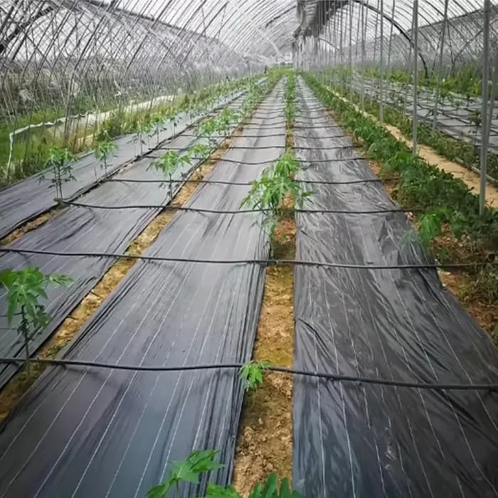 Tissu de paysage de jardin, tissu Anti-herbe agricole, tapis de barrière contre les mauvaises herbes