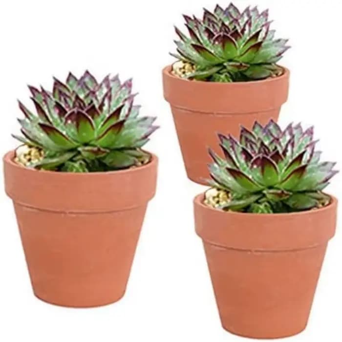 Pots de fleurs Terra Cotta de 2.5 pouces, 24 pièces, jardinière en poterie, Pots de fleurs Cactus, P