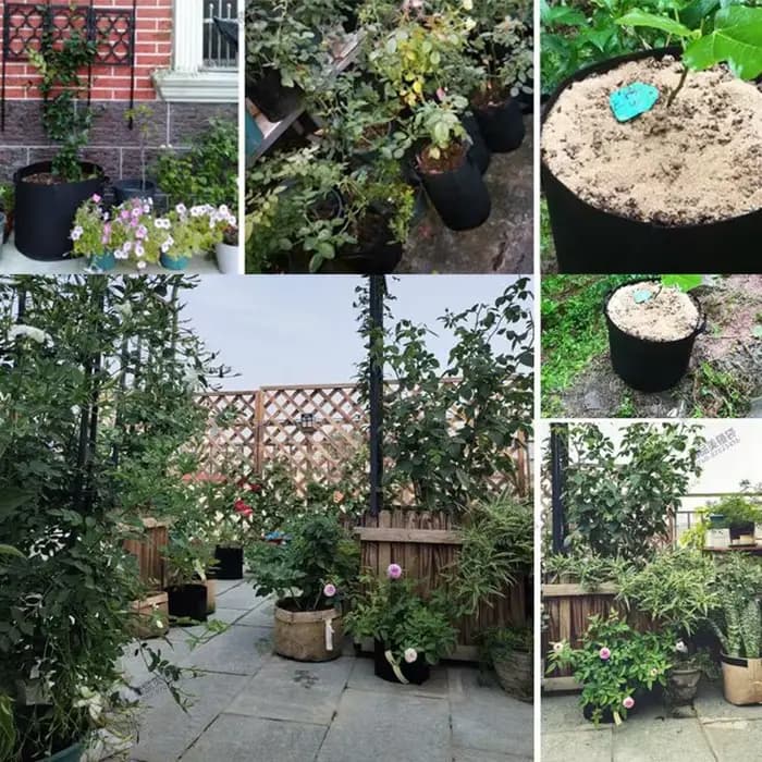 Sacs de Culture pour Plantes de Jardin, 1 Gallons-30 Gallons, Tissu Lauren, Pot de Culture, Fruits, 