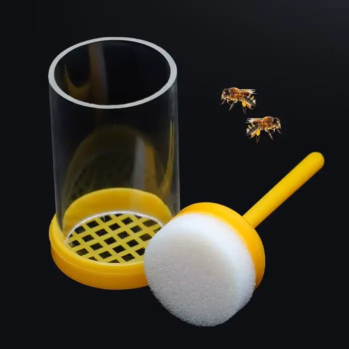 Piston pour apiculture reine des abeilles, outil de récupération de bouteilles étiqueté, fournitures