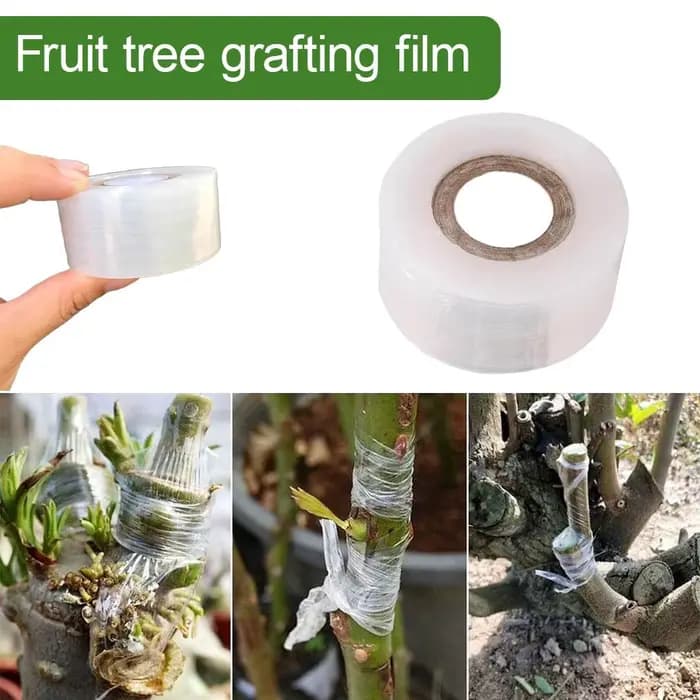 Ruban de greffage auto-adhésif extensible pour arbres fruitiers, plantes de pépinière, semis, vignes