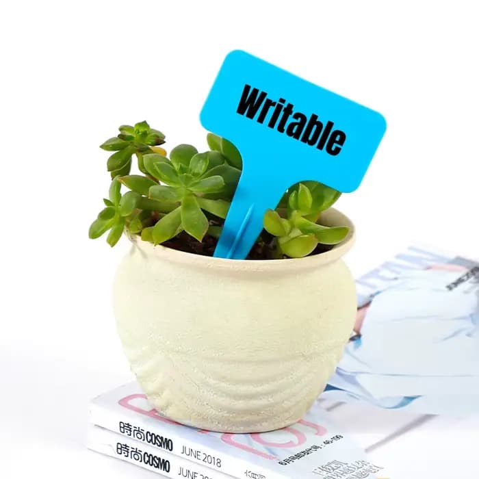 Marqueurs de plantes en plastique PVC blanc de type T, 6x10cm, 20/100 pièces, pour pépinière, jardin