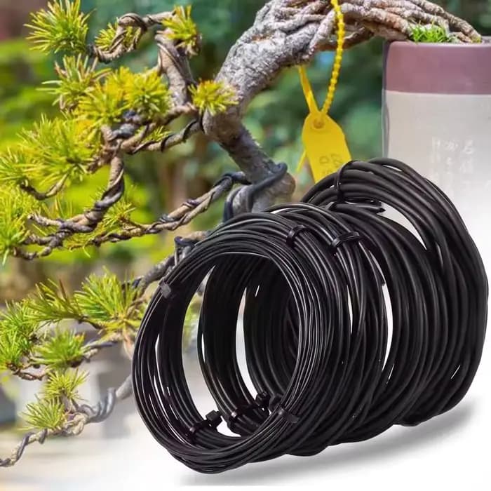 Fil de bonsaï 5/10m, Support pour plantes, fil d'entraînement en aluminium anodisé pour la mise en f