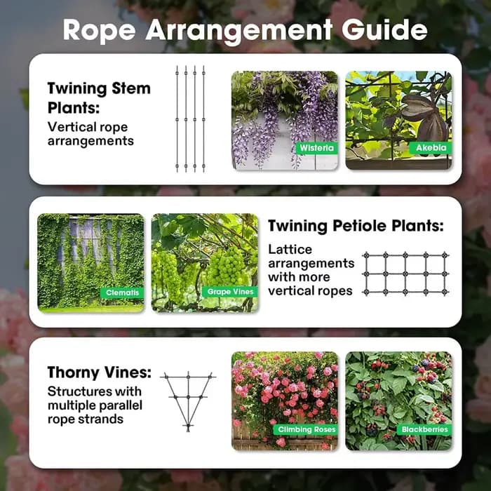 Système de treillis de fil de jardin en acier inoxydable, 20 supports, pour plantes grimpantes, vign