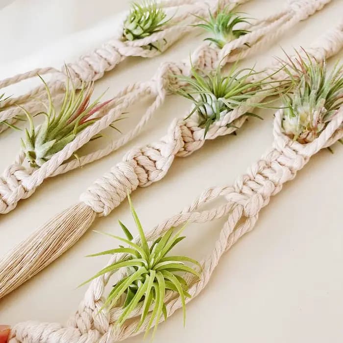 Cintre pour plantes à Air en macramé, support suspendu pour plantes aériennes, affichage d'ananas, j