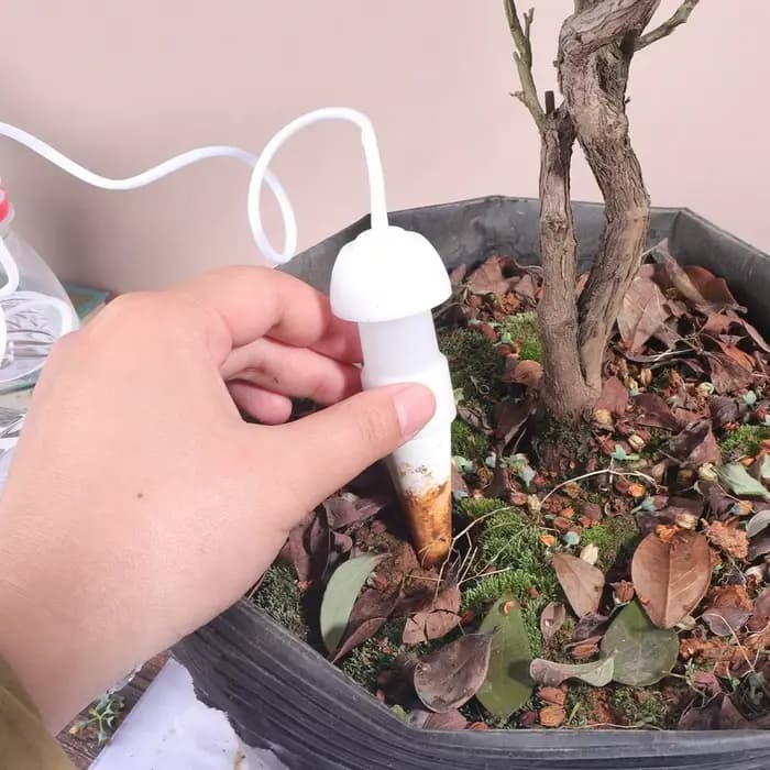 2 Piques d'arrosage automatiques en céramique pour plantes en pot, intérieur/extérieur, dispositif d