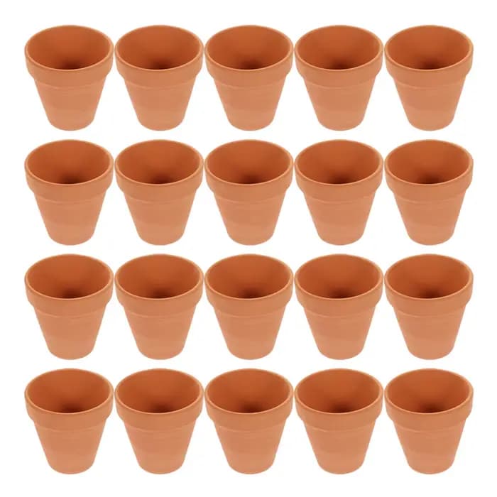 Pot de fleurs succulentes