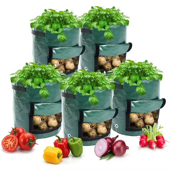 Sacs de culture de pommes de terre PE