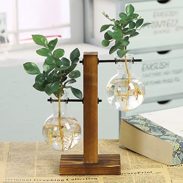 Terrarium de plantes hydroponiques