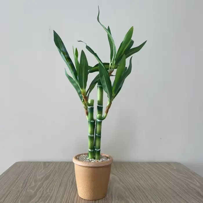 Plante artificielle en bambou porte-bonheur