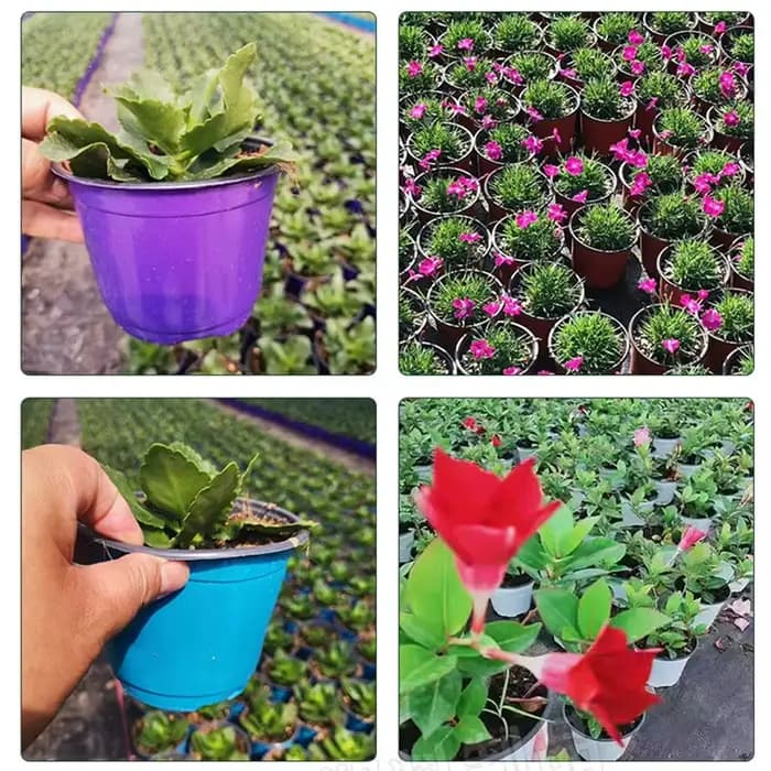 50/100 pièces Pot De Fleurs En Plastique Grow Box Chute Degré escalade Accueil Jardin Plantes Pépinière Tasse